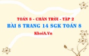 Bài 8 trang 14 Toán 8 Chân trời sáng tạo Tập 2